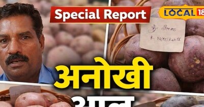 चिप्स-फ्रेंच फ्राइज होंगे हेल्दी! वैज्ञानिकों ने बनाया सुपर आलू, शुगर-कैंसर का खतरा नहीं.