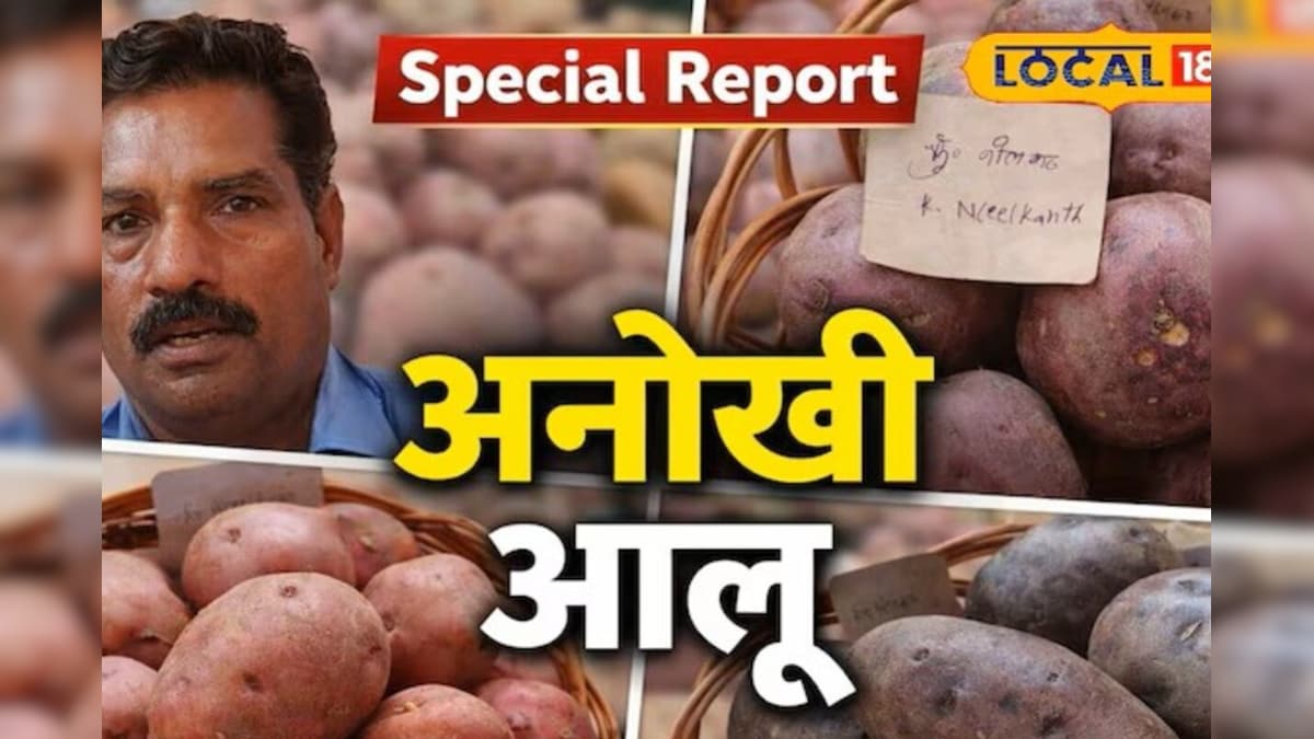 चिप्स और फ्रेंच फ्राइज भी होंगे हेल्दी! वैज्ञानिकों ने तैयार किया सुपर आलू, शुगर-कैंसर का भी खतरा नहीं – News18 हिंदी