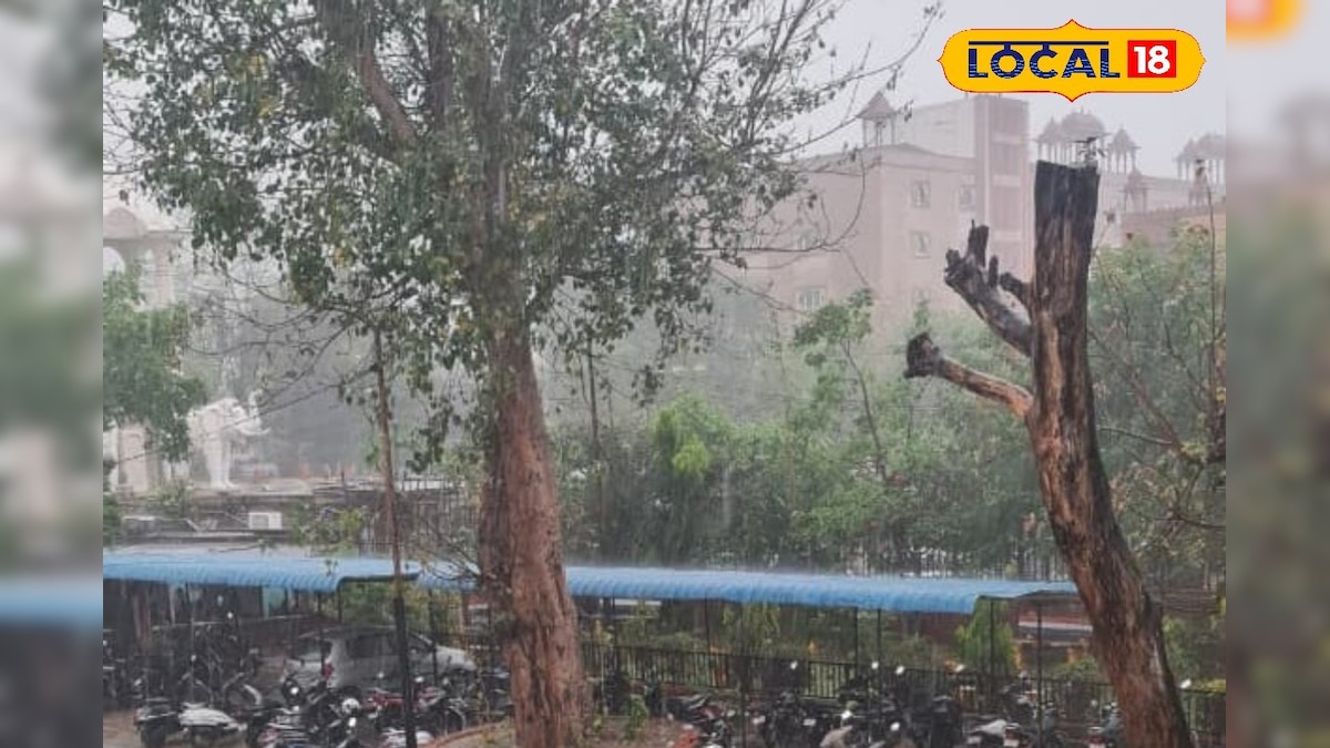 कोटा में बारिश और तूफान से भारी नुकसान, जगह-जगह गिरे पेड़ और बाधित हुई जिंदगी – News18 हिंदी