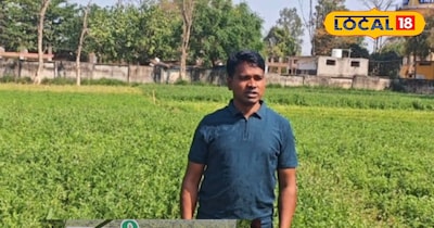 एक बुवाई, 5 कटाई! अंबिकापुर में बरसीम घास से बढ़ रही किसानों की कमाई.