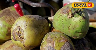 गर्मी का रामबाण ड्रिंक,एक नारियल पानी से मिलेंगे 5 बड़े फायदे, शरीर रहेगा कूल और