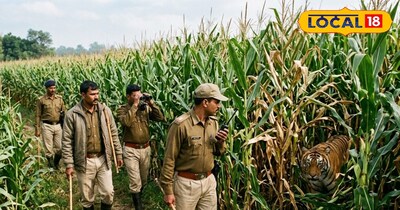 AI जनित तस्वीर 