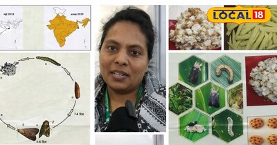 डॉ. सुबी 