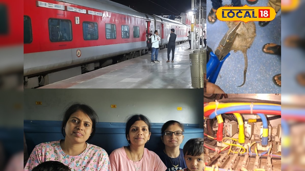 एक छोटे से चूहे ने रोक दी ट्रेन की सांसें! मरुधर एक्सप्रेस में फायर अलार्म से अफरा-तफरी, बाल-बाल टला बड़ा हादसा