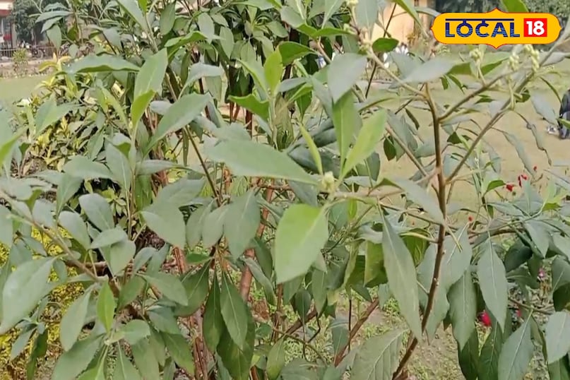 सावधानी भी जरूरी 