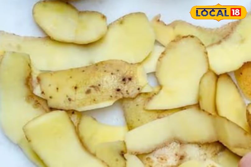 आलू का छिलका