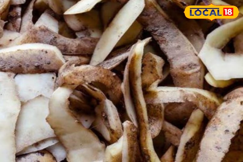 आलू का छिलका