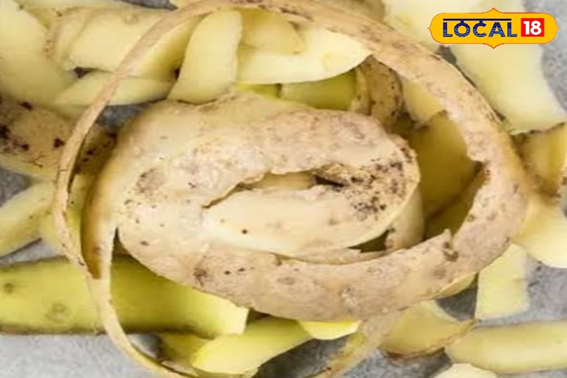आलू का छिलका