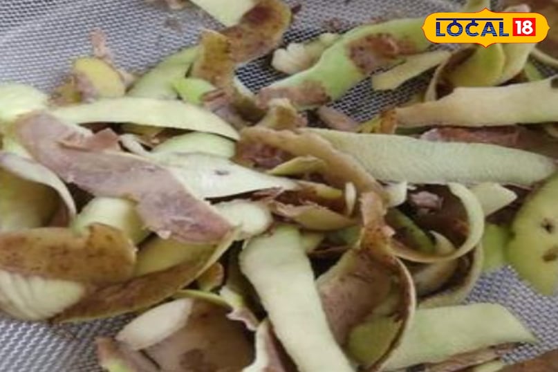 आलू का छिलका