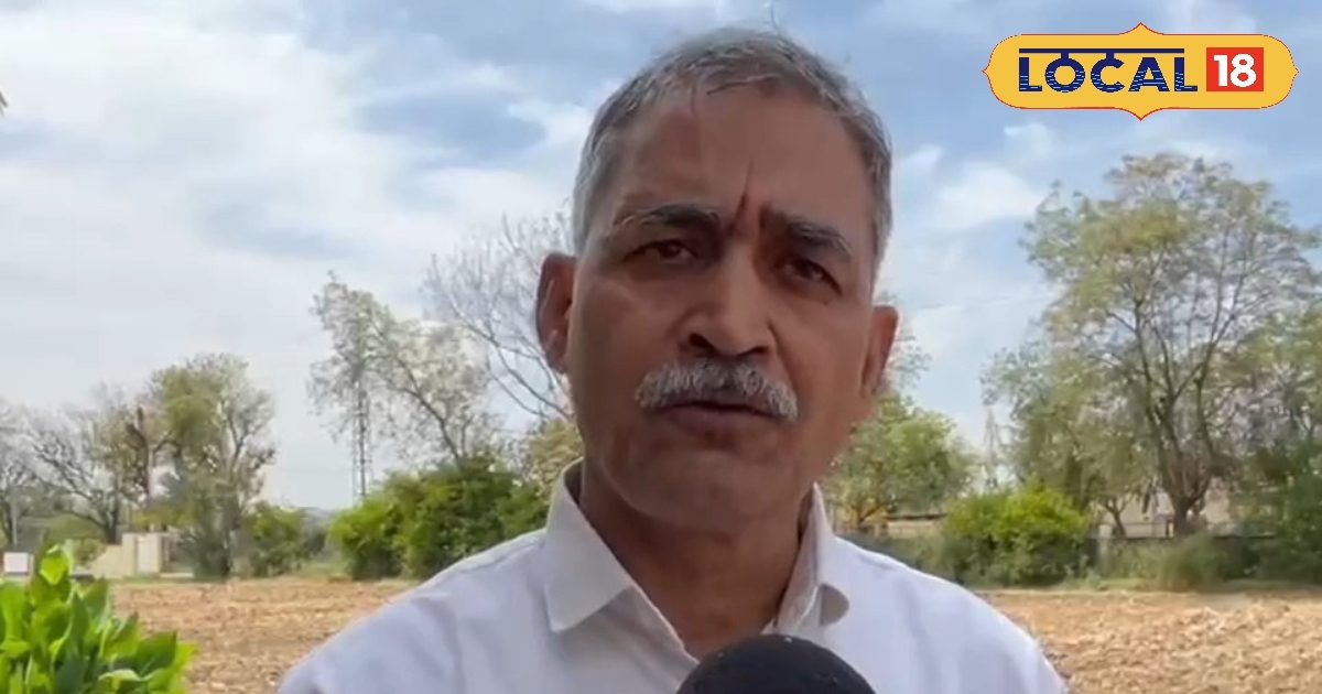 अजमेर में बारिश के बाद फसल पर संकट! किसानों को अलर्ट, ऐसे बचाएं अनाज वरना होगा नुकसान