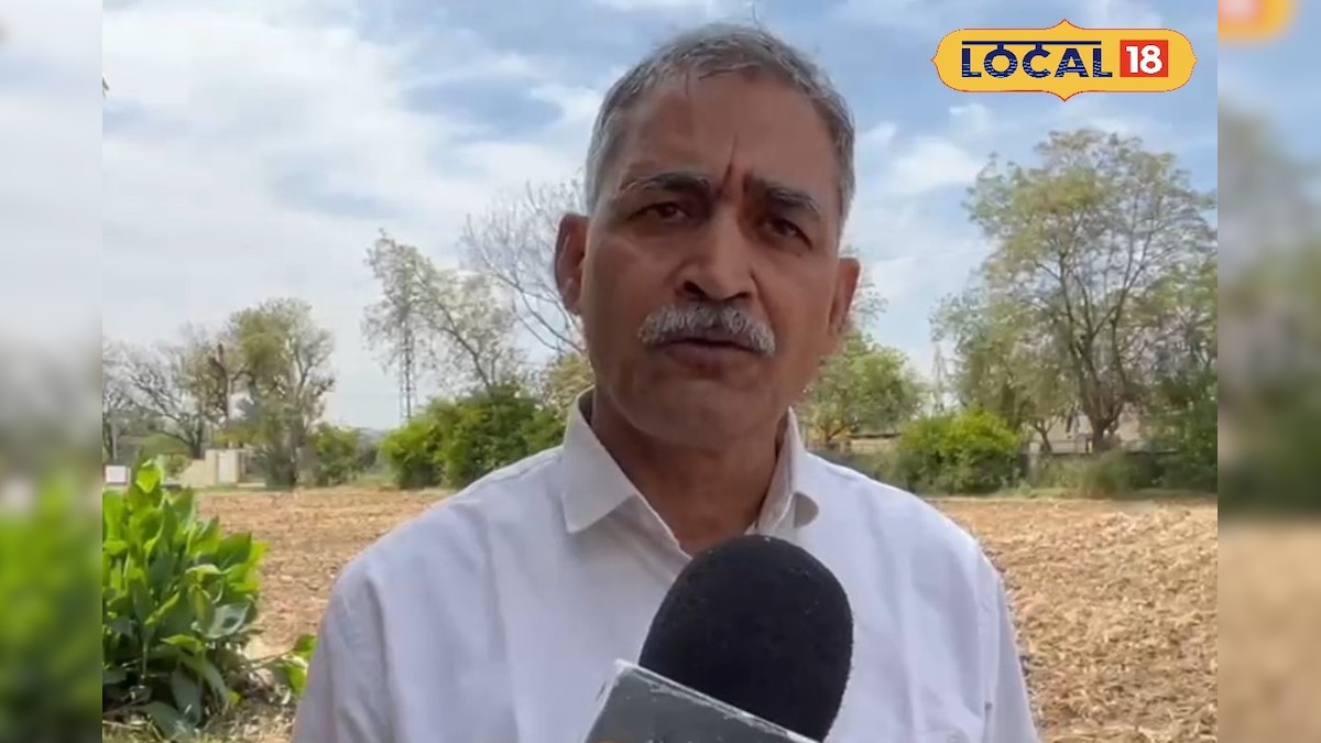 अजमेर में बारिश के बाद फसल बचाने की सलाह, नमी नियंत्रण और भंडारण के सही तरीके जरूरी, देखें वीडियो