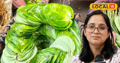 पान के पत्तों के फायदे 