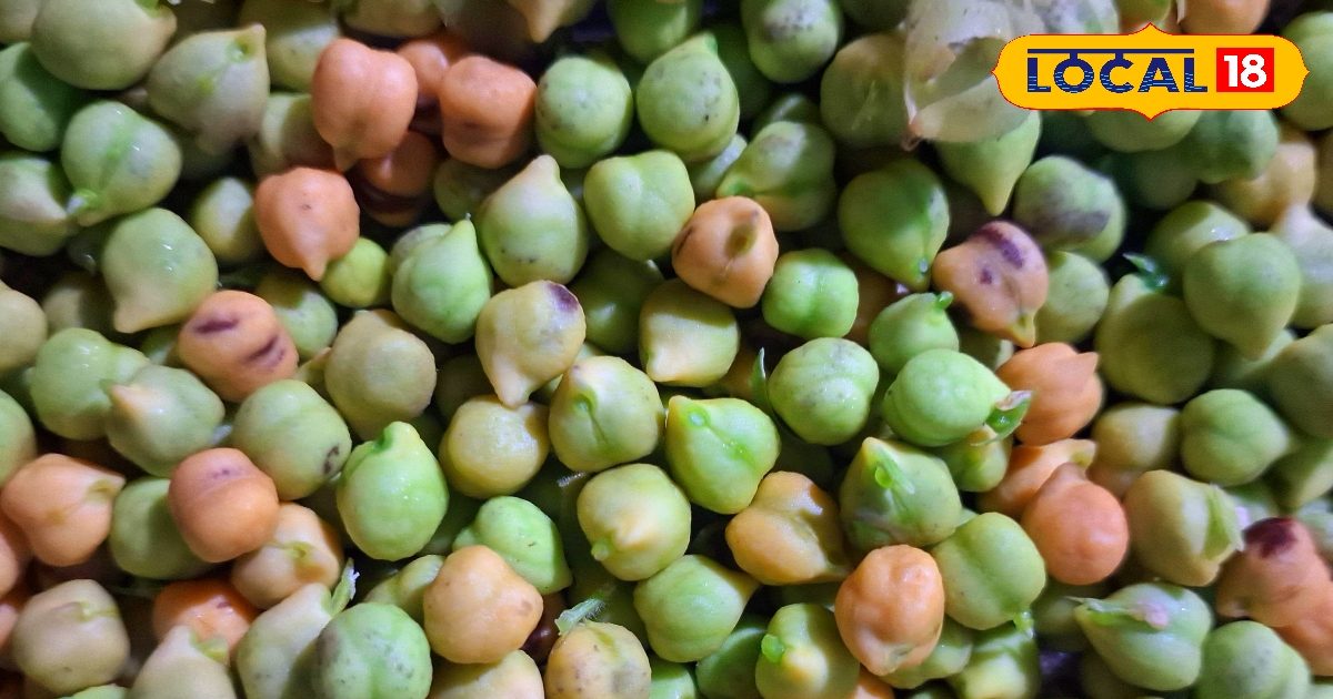 उबालकर, भूनकर या भिगोकर…यहां जानिए चना खाने का सही तरीका