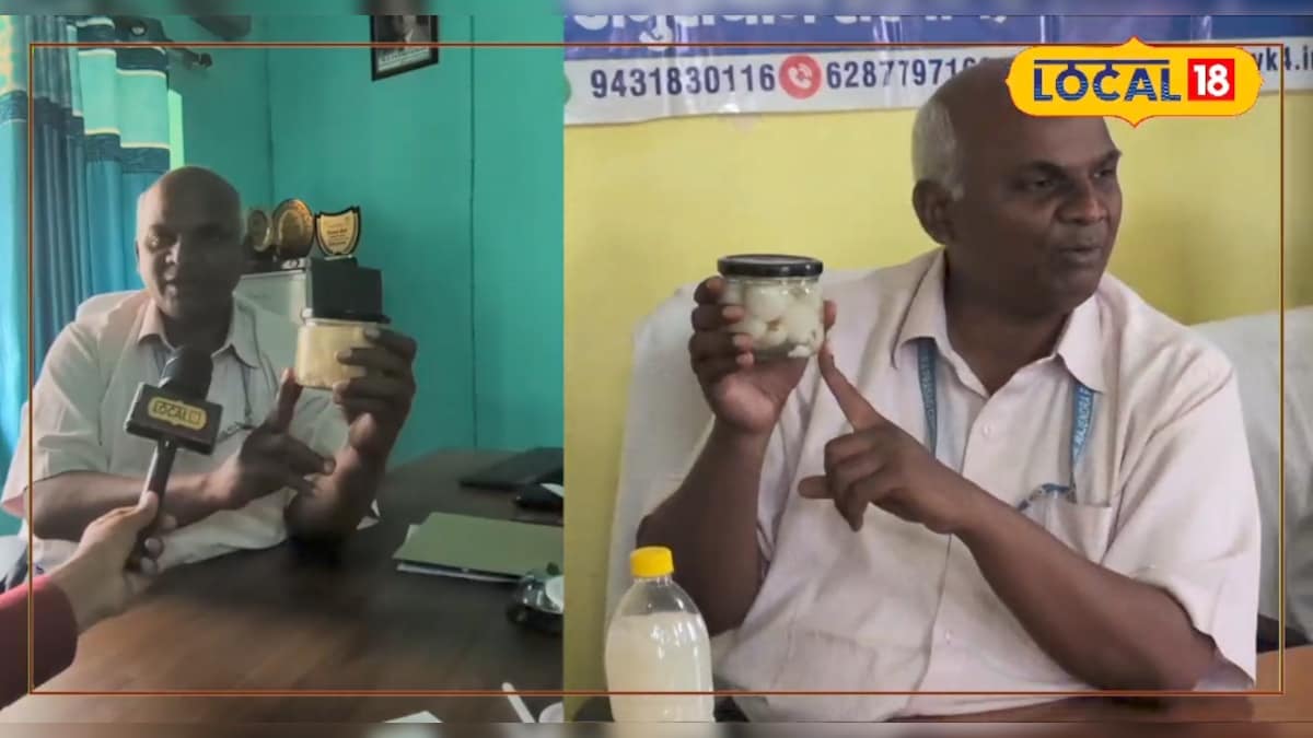 लीची रसगुल्ला…₹25 की लागत में ₹150 का मुनाफा: 5000 खर्च कर कमाएं 50000 रुपये