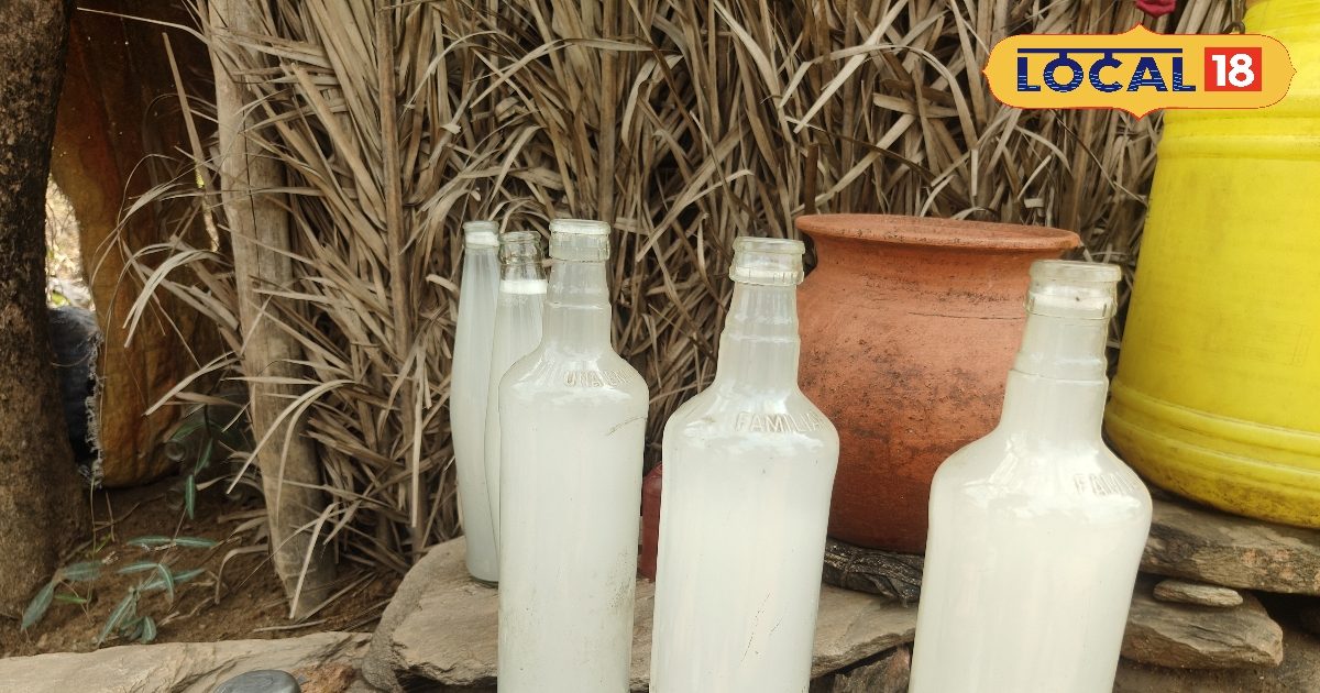 पेड़ पर लगता कट, रातभर धीरे-धीरे हांडी में टपकता रस…ऐसे निकलता खेजुर रोश! सेहत का खजाना