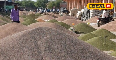 Jeera Guar Gum Price Drop