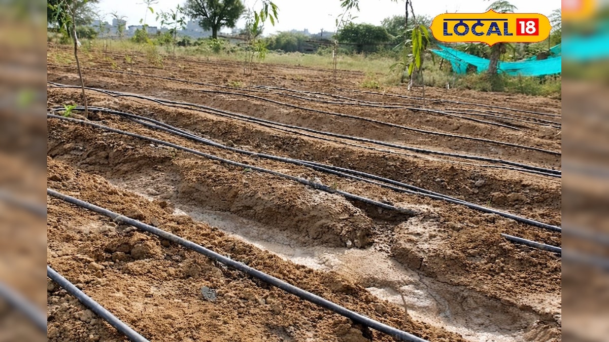 खेती में क्रांति! यह तकनीक बचाती है 50-70% पानी, किसानों के लिए बनी वरदान – News18 हिंदी