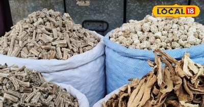 बीकानेर की अनोखी परंपरा: शादी में बेटियों को दहेज के साथ शगुन में मिलती हैं सूखी सब्जियां