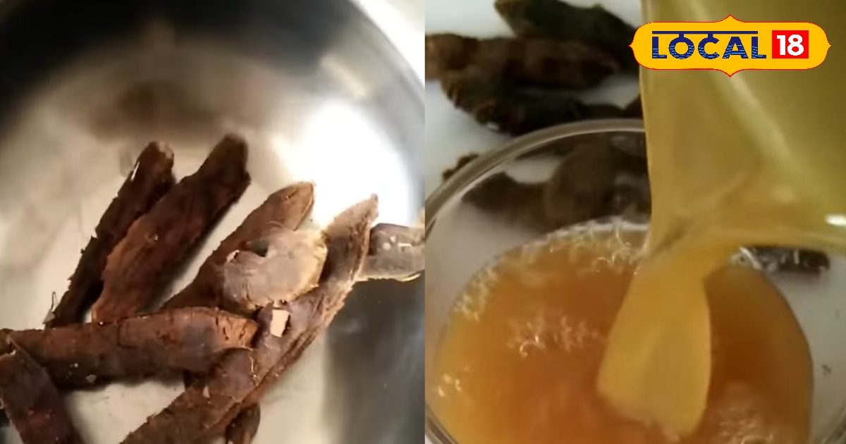 Desi Sharbat Recipe: गर्मी में ठंडक का देसी फॉर्मूला, घर पर बनाएं शरबत