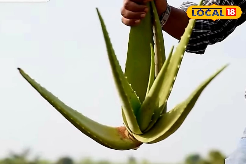 कम लागत में शुरू करें 