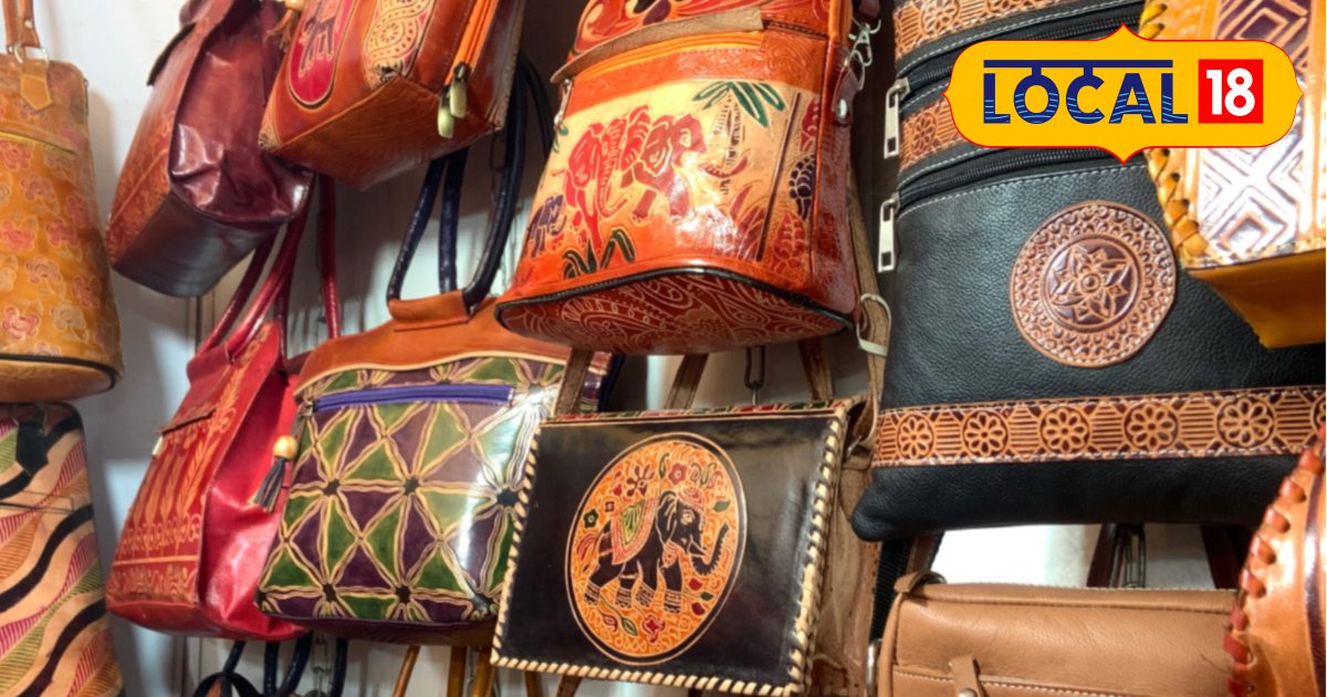 हैंडमेड लग्जरी का देसी अंदाज! ऊंट के चमड़े से तैयार लिपस्टिक बॉक्स से लेकर रॉयल बैग्स तक की जबरदस्त डिमांड