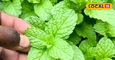 प्रतीकात्मक