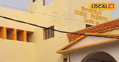 विश्वविद्यालय