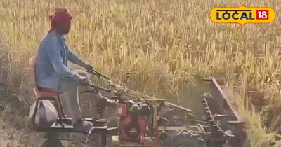 पावर रिपर मशीन से गेहूं कटाई करते किसान 
