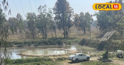 पीलीभीत टाइगर रिजर्व स्थित वाटरहोल.