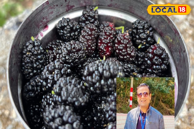 Keep the digestive system healthy