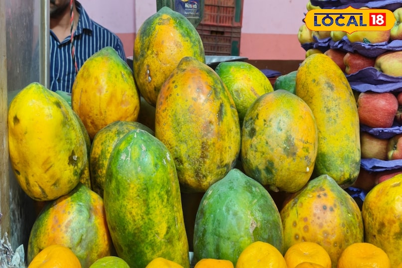 पाचन तंत्र 