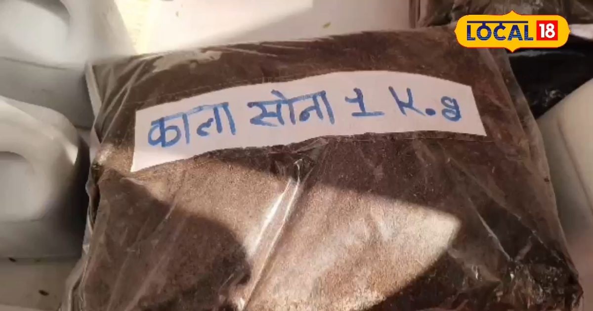 काला सोना बना पैसे छापने का नया तरीका, शिवपुरी की महिलाओं ने 15 दिन में दिखाया कमाल!