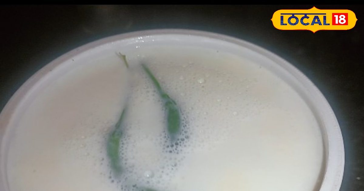 मिथिलांचल का देसी सुपर फूड, यहां मिर्च से जमाते हैं दही, होती है गजब स्वादिष्ट