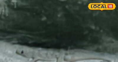 दिवाल पर छिपकली 