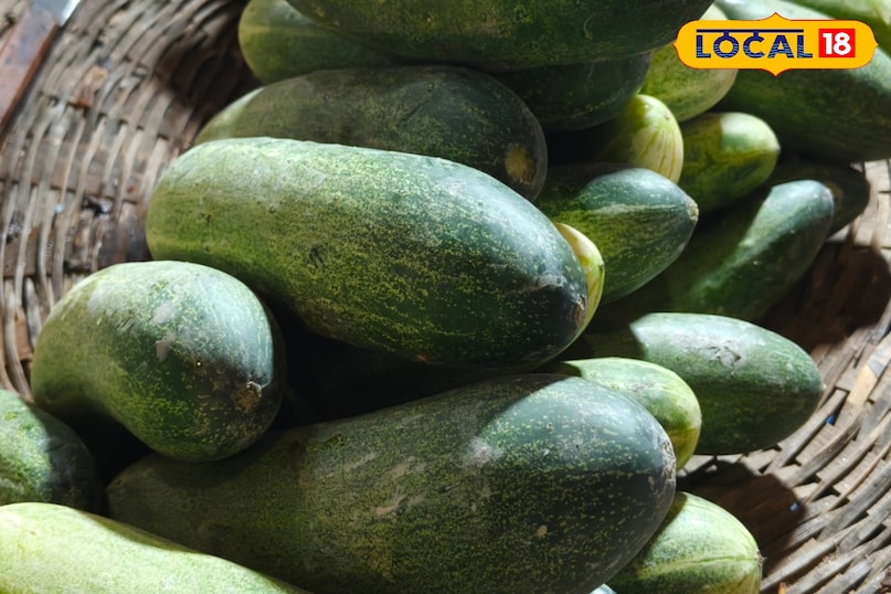 दबा हुआ खीरा