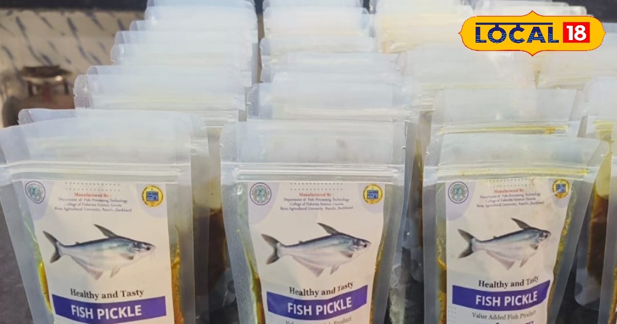 मछली का अचार! गुमला में कॉलेज छात्र बना रहे हैं टेस्टी फिश अचार, जानें रेसिपी