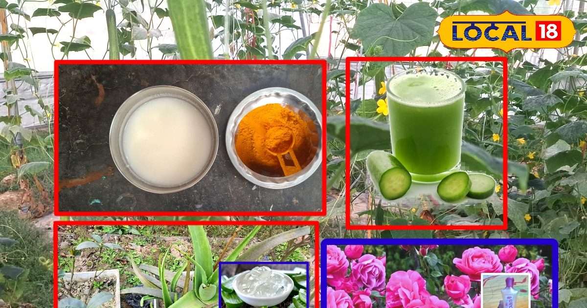 10-15 मिनट में चमकदार चेहरा! बस घर के ये साधारण उपाय अपनाएं, जानिए टिप्स