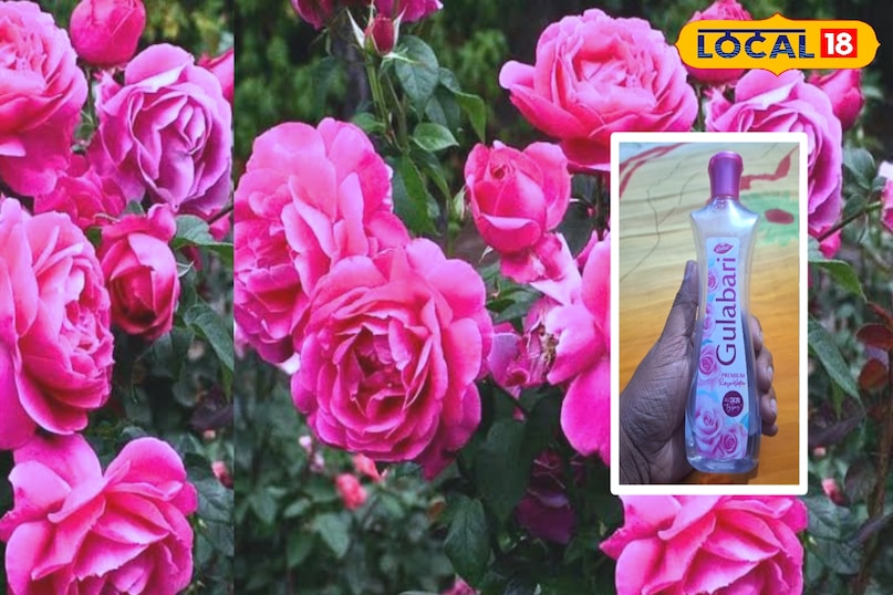 photo gallery