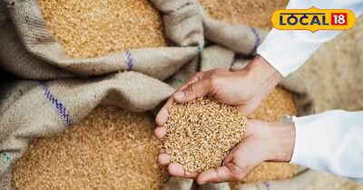 Wheat will remain unspoiled for years, and will be protected from pests and inse