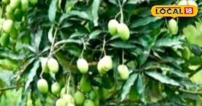 प्रतीकात्मक