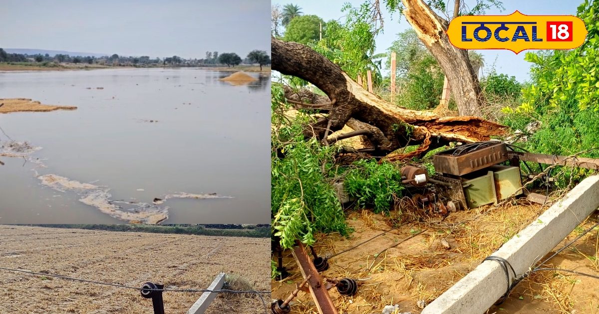 भरतपुर में बांध का पानी बना आफत! खेत डूबे, फसल बही, किसानों की मेहनत पर फिरा पानी