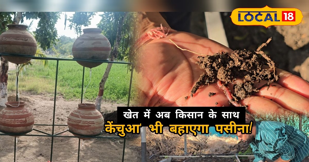 Agriculture News: रसायनों को कहें अलविदा! केंचुओं से बना ये खास ‘अमृत’ किसानों की आय बढ़ाने में बनेगा गेमचेंजर