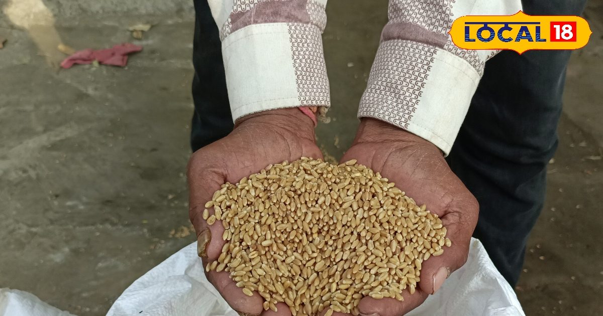 10वीं फेल किसान ने खड़ी कर दी कंपनी, हजारों किसान शेयर होल्डर, धूम मचा रहा ये बिजनेस