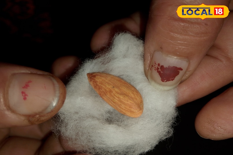 the items which you need 