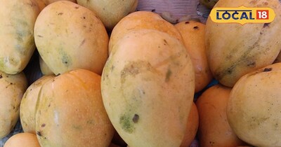 बल्लभगढ़ मंडी में नई आम वैराइटी आई, रेट महंगे.