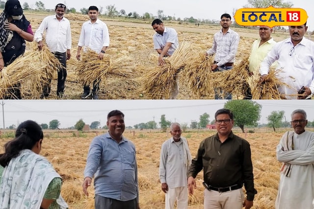 बारिश-ओलावृष्टि से फसल खराब? 72 घंटे में सूचना नहीं दी तो नहीं मिलेगा मुआवजा