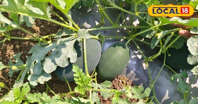 किसान शुरुआत में ही सावधानी बरतें.