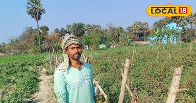 किसान ने दी जानकारी 