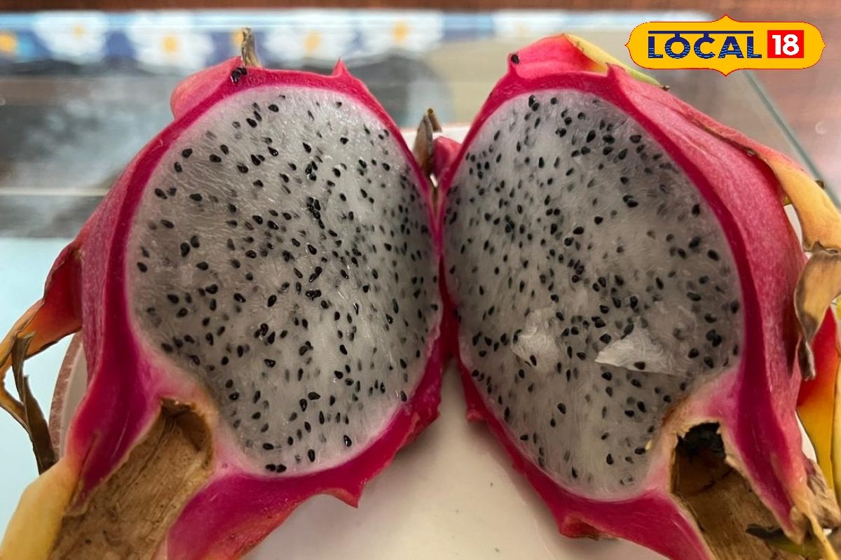 कभी भी खा लेते हैं ड्रैगन फ्रूट? ये गलती पड़ सकती है भारी, जानें खाने का सही टाइम, दोगुना मिलेगा फायदा