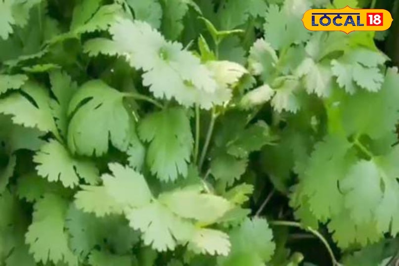Moradabad news, hindi news, local news, up news, मुरादाबाद समाचार, हिंदी समाचार, लोकल समाचार, यूपी समाचार ।